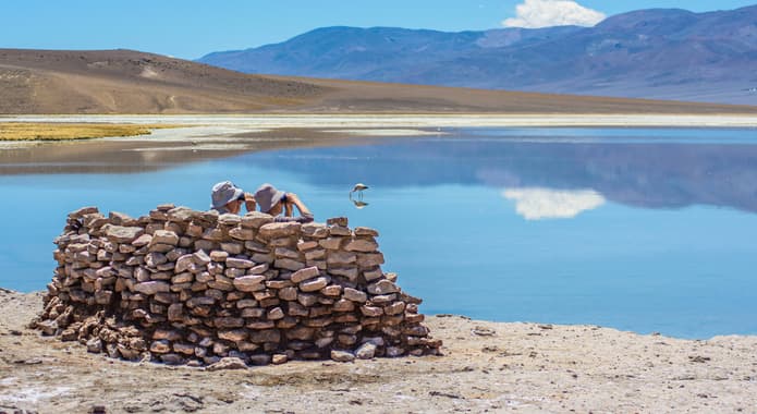 Chile copiapo birdwatching lagoon c alvaro guide