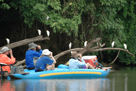 Wildlife floating tour, Caño Negro
