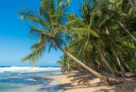 Costa rica caribbean playa manzanillo c canva 1