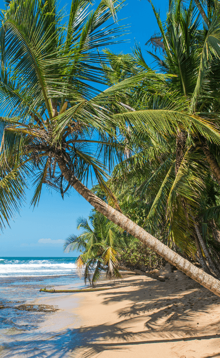 manzanillo beach southern caribbean costa rica