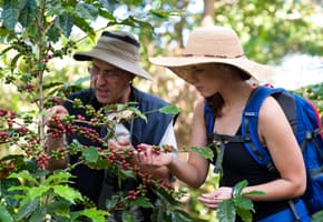 Costa rica coffee tour c finca rosa blanca