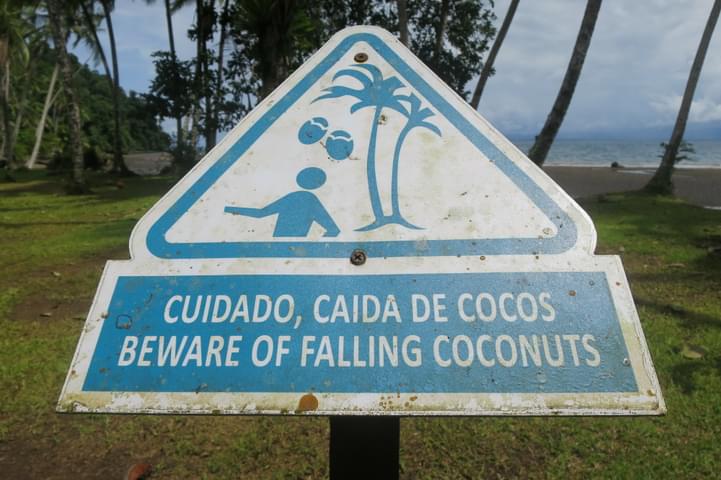 Costa rica osa golfo dulce coconuts sign c thomas power pura aventura
