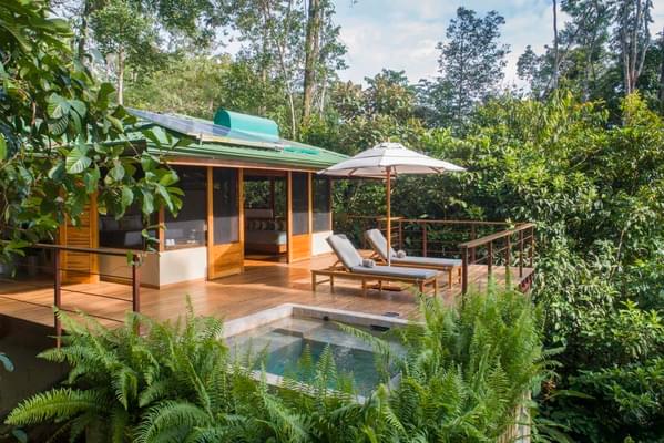 Rainforest retreat, Osa Peninsula