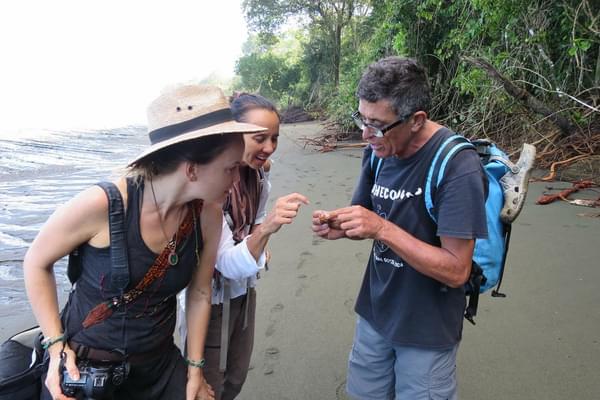 Guided beach hike, Osa Penisnula