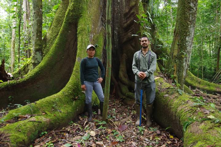 Ecuador amazon rocio sina ceiba tree chris bladon