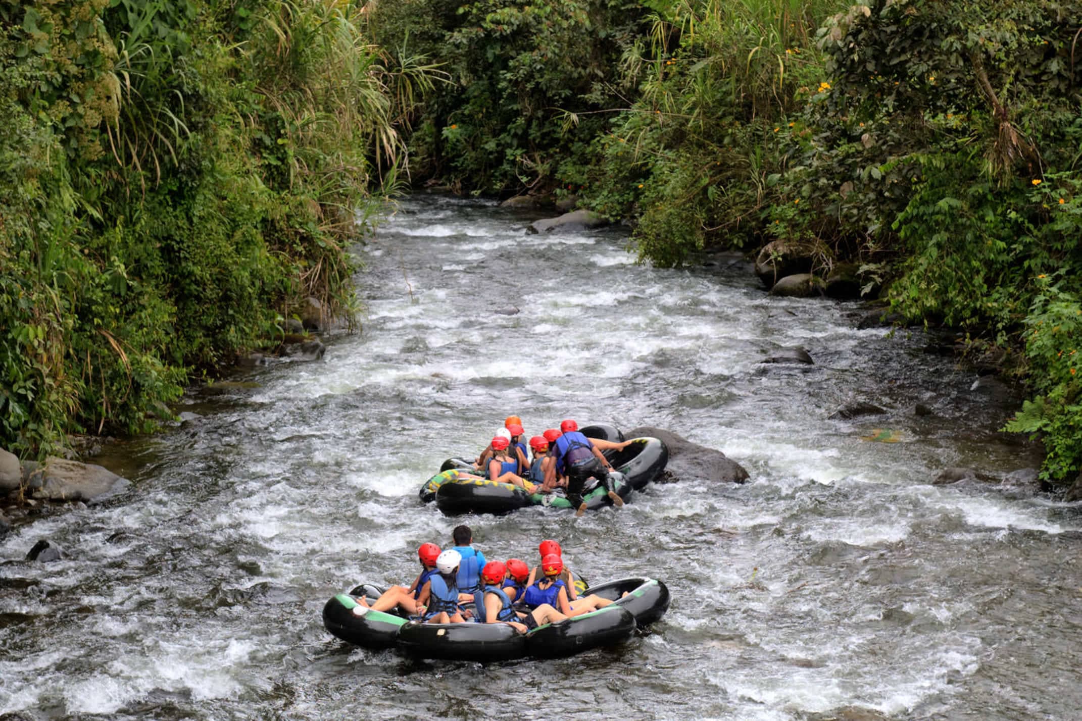 Ecuador cloudforest ecological path in mindo