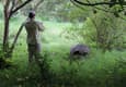 Ecuador galapagos islands guide photographing giant tortoise