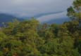 Ecuador mindo cloud forest canopy 2 chris bladon