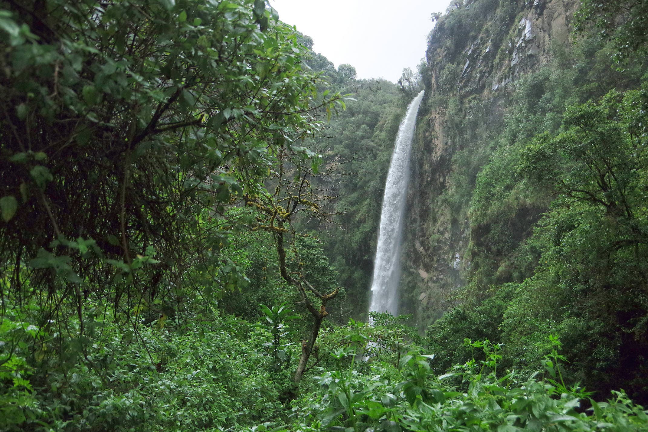 Ecuador pichincha condor machay waterfall chris bladon