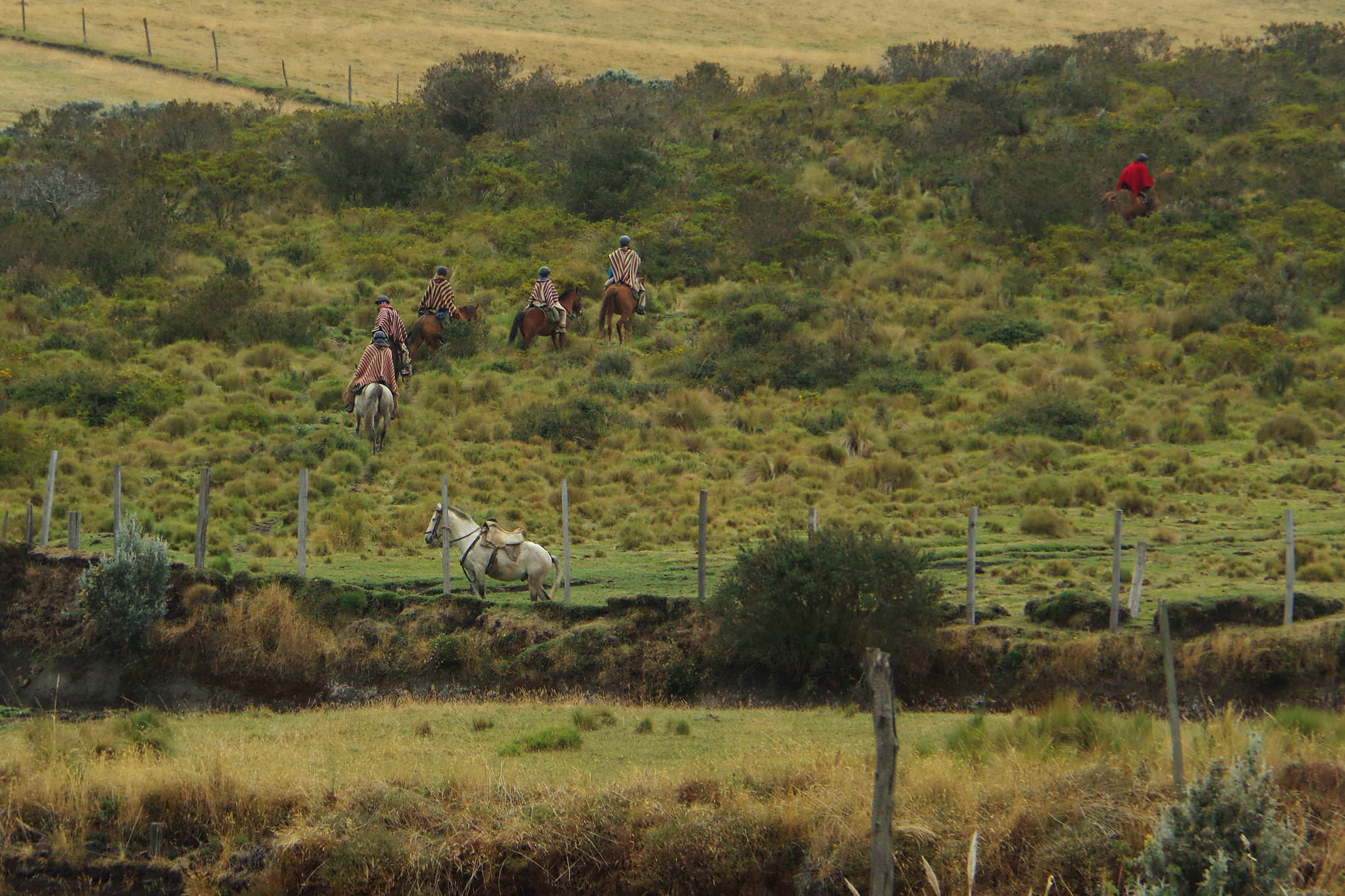 Ecuador cotopaxi porvenir horse riding chris