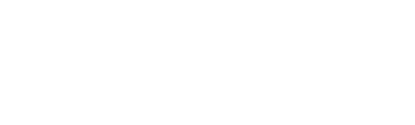 Logo feefo platinum 2020
