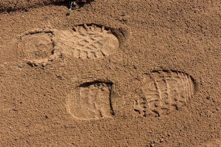 Footprints1