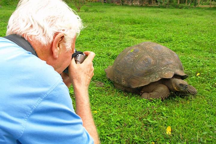 Galapagos photographing tortoise c latin trails