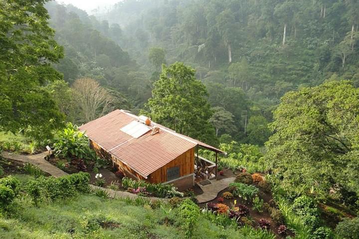 Nicaragua jinotega cloudforest bastilla lodge c vapues