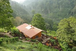 Nicaragua jinotega cloudforest bastilla lodge c vapues