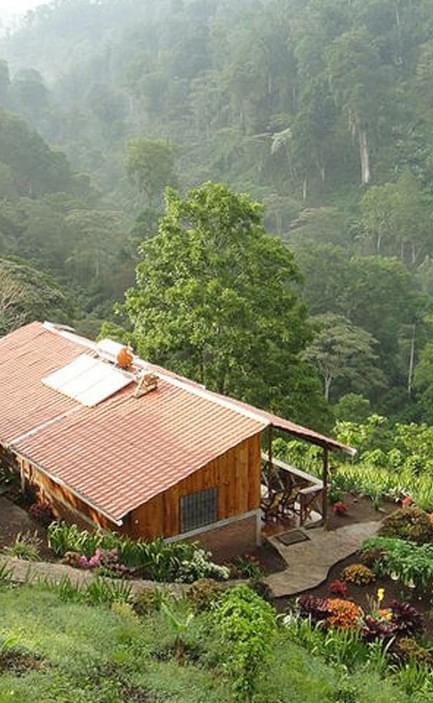 Nicaragua jinotega cloudforest bastilla lodge c vapes