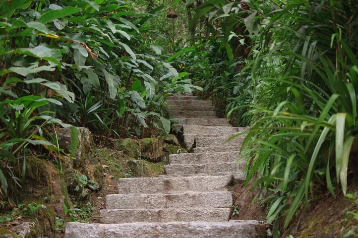 Peru machu picchu birdwatching 20 c chris bladon