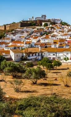 Portugal alentejo estremoz shutterstock