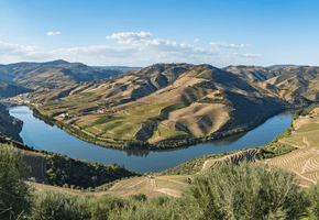 Portugal douro wine c canva