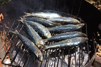 Portugal fernanda grilled fish