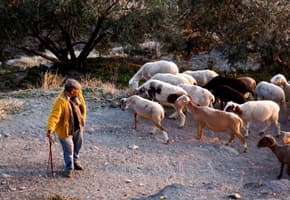 Spain andalucia alpujarras mairena shepherd 2021 09 22 122014