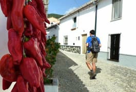 Spain andalucia aracena hills peppers in navahermosa village 2021 08 26 123211