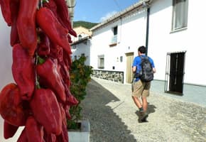 Spain andalucia aracena hills peppers in navahermosa village 2021 08 26 123211