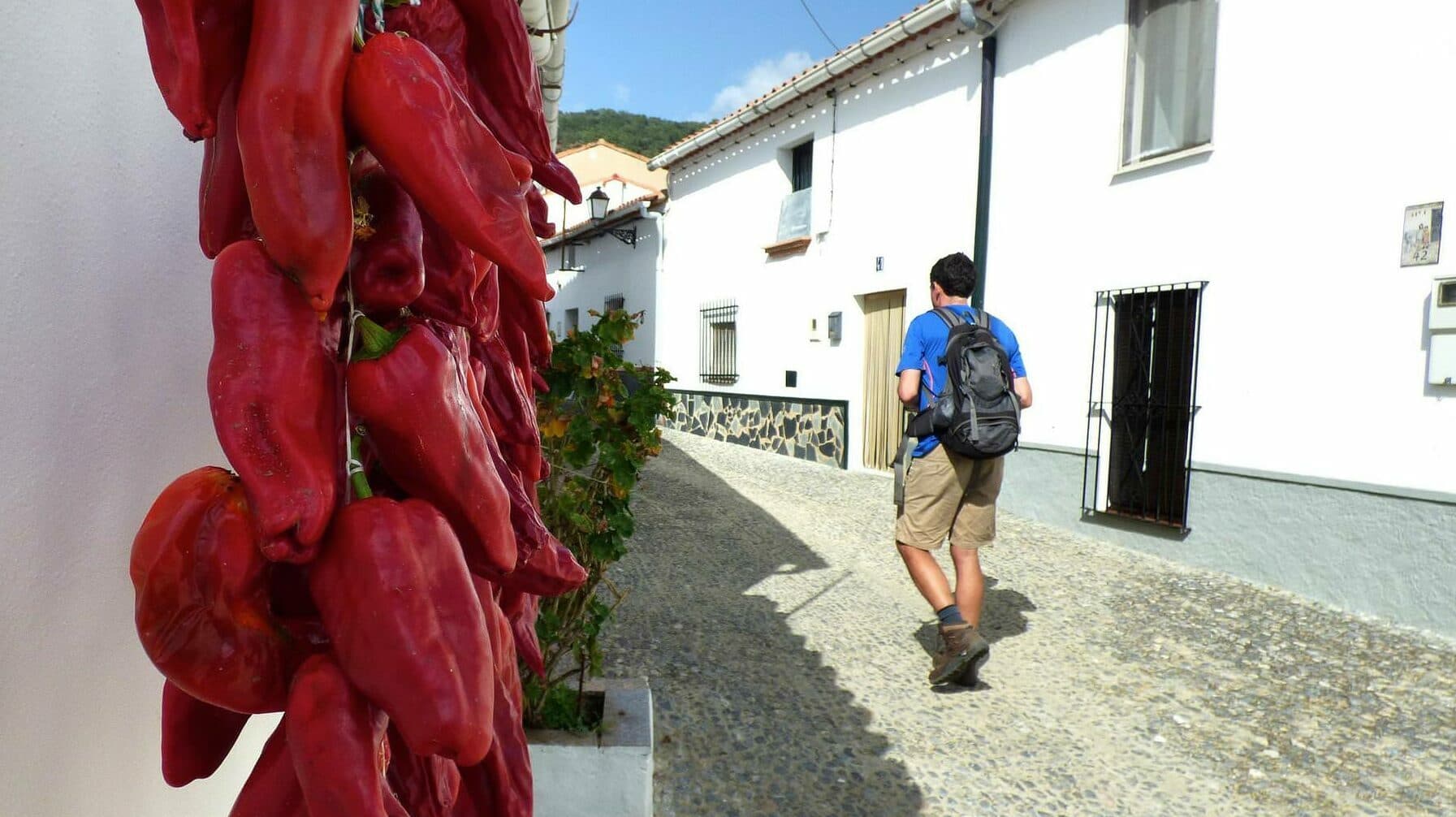 Spain andalucia aracena hills peppers in navahermosa village