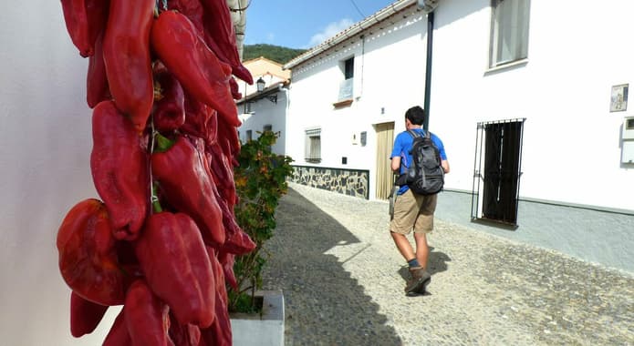 Spain andalucia aracena hills peppers in navahermosa village