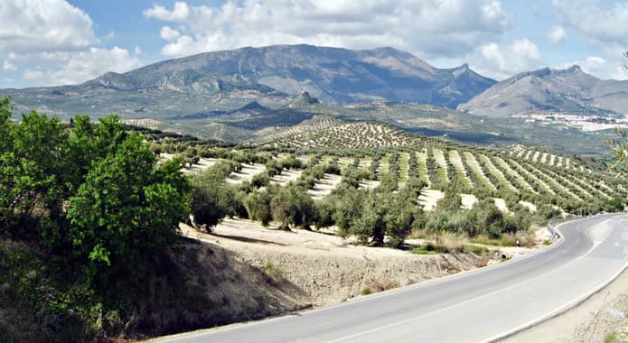 Spain andalucia road driving shutterstock