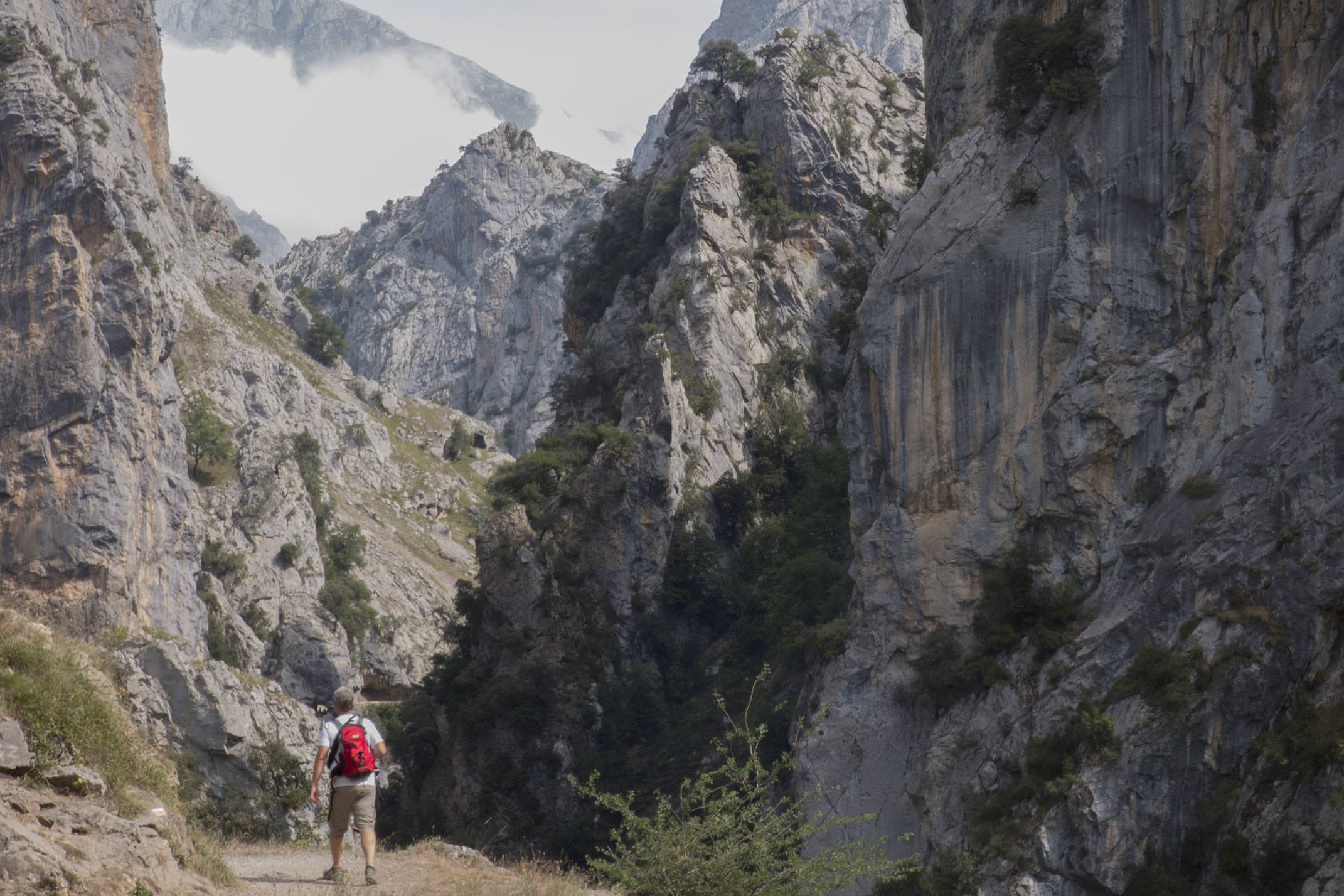 Spain asturias picos de europa gorge cares hiking