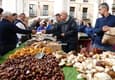 Spain basque country ordizia market mushrooms chestnuts