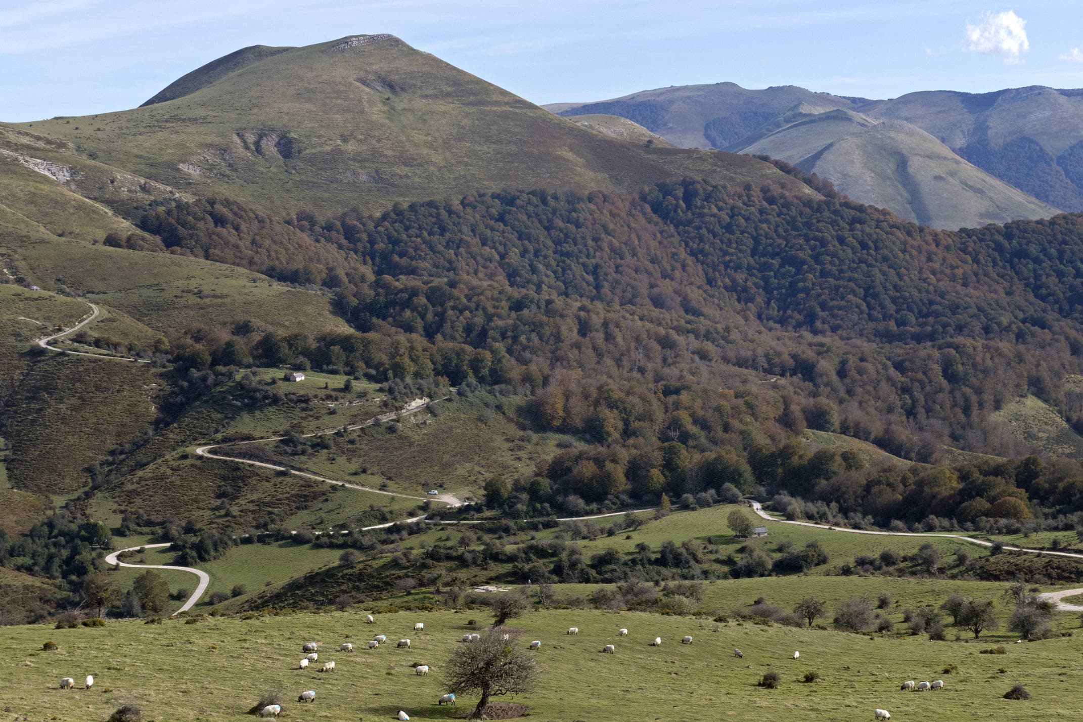 Spain navarre basque pyrenees irati san esteban circuit panorama sheep c diego