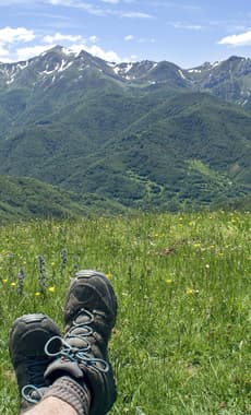 Spain picos de europa liebana meadow c dmartin
