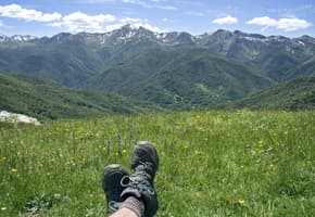 Spain picos de europa liebana meadow c dmartin
