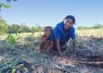 Taking root nicaragua 1 Farmer Dora Maria Salgado