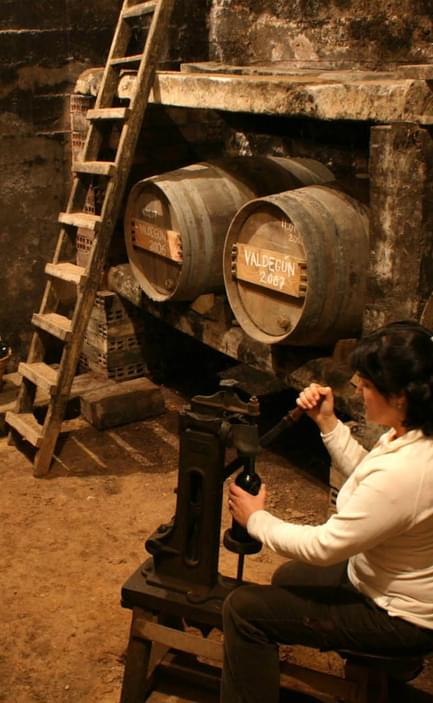 Wine experience bottling la rioja spain Riojatrekk website