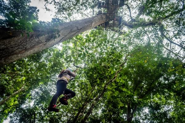 Costa rica fortuna serendipity tree rapel canopy platform