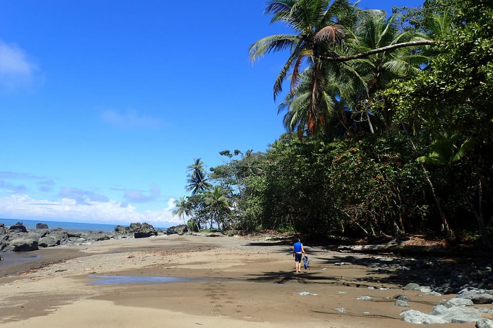 Costa rica osa peninsula walking along coast to drake bay c matt power