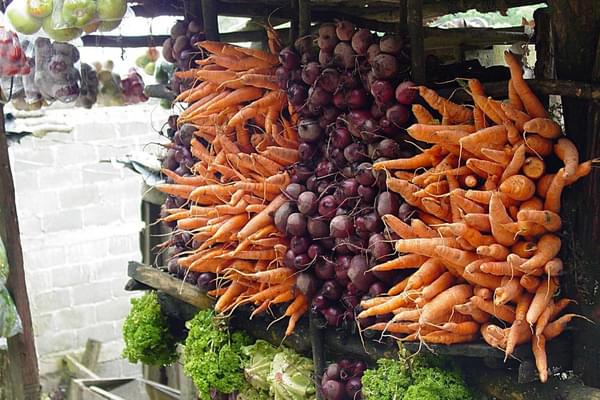Nicaragua copyright jan strik fruit and vegetable stall