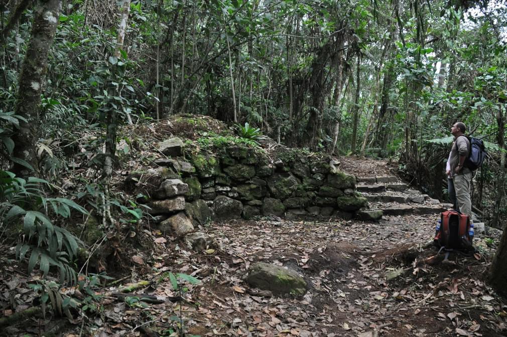 Peru northern peru kuelap ruins in jungle