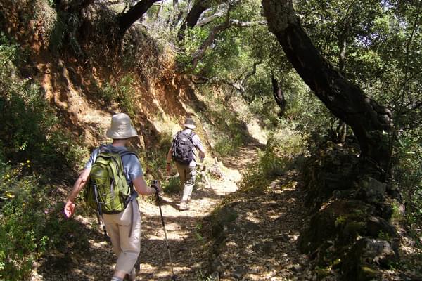 Spain andalucia aracena trail calabacino