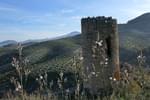 Spain andalucia cordoba subbetica casa olea watchtower asphydel c diego
