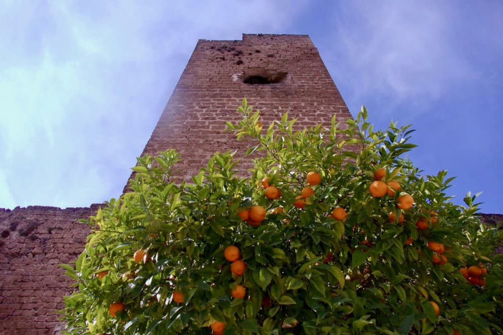 Spain andalucia sierra subbetica copyright pura aventura thomas power oranges and tower priego de cordoba20180829 76980 qn75lt