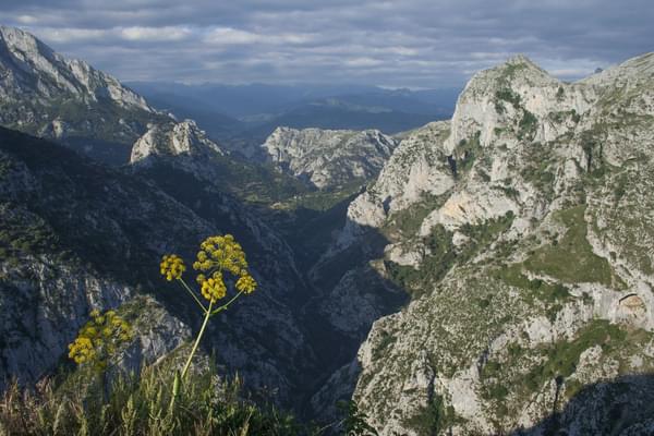 Spain cantabria picos de europa hermida gorge liebana w2142autocompress2 Cformatfitcropdm1601288037s5a8cf1efc520a757bb8fbfc8a9f9a7cd