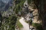 Spain picos de europa walking along cares gorge