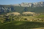 Spain rioja vineyards near Laguardia copyright chris bladon