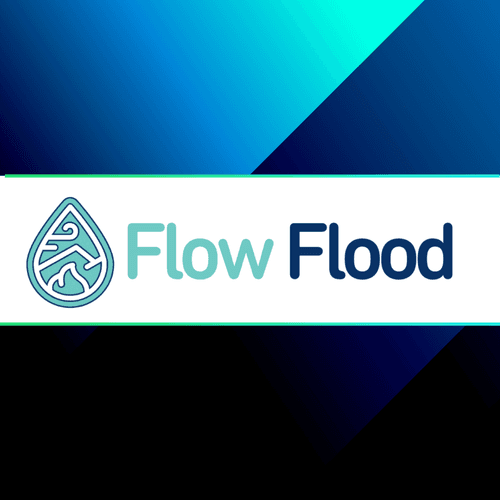 Flow Insurance Launches Digital Flood Insurance Marketplace with INSTANDA