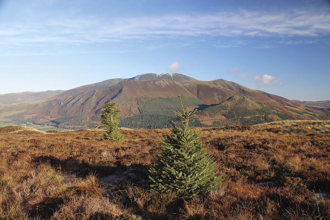 Skiddaw massif