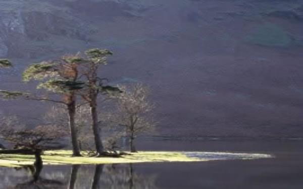 Tranquil Buttermere, on a still May afternoon after rain (Short Walk 6)